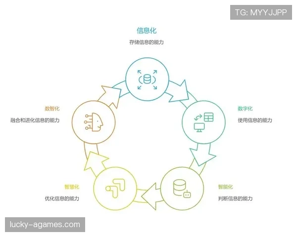 一文讲透技术犯规与违体犯规：两者的核心区别与判罚标准